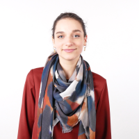 Schal Brunate diverse Prints